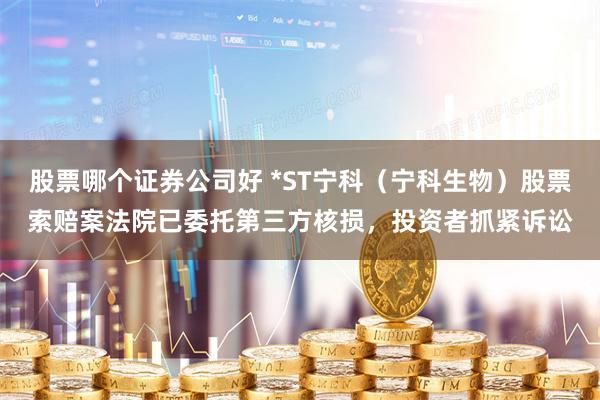 股票哪个证券公司好 *ST宁科（宁科生物）股票索赔案法院已委托第三方核损，投资者抓紧诉讼