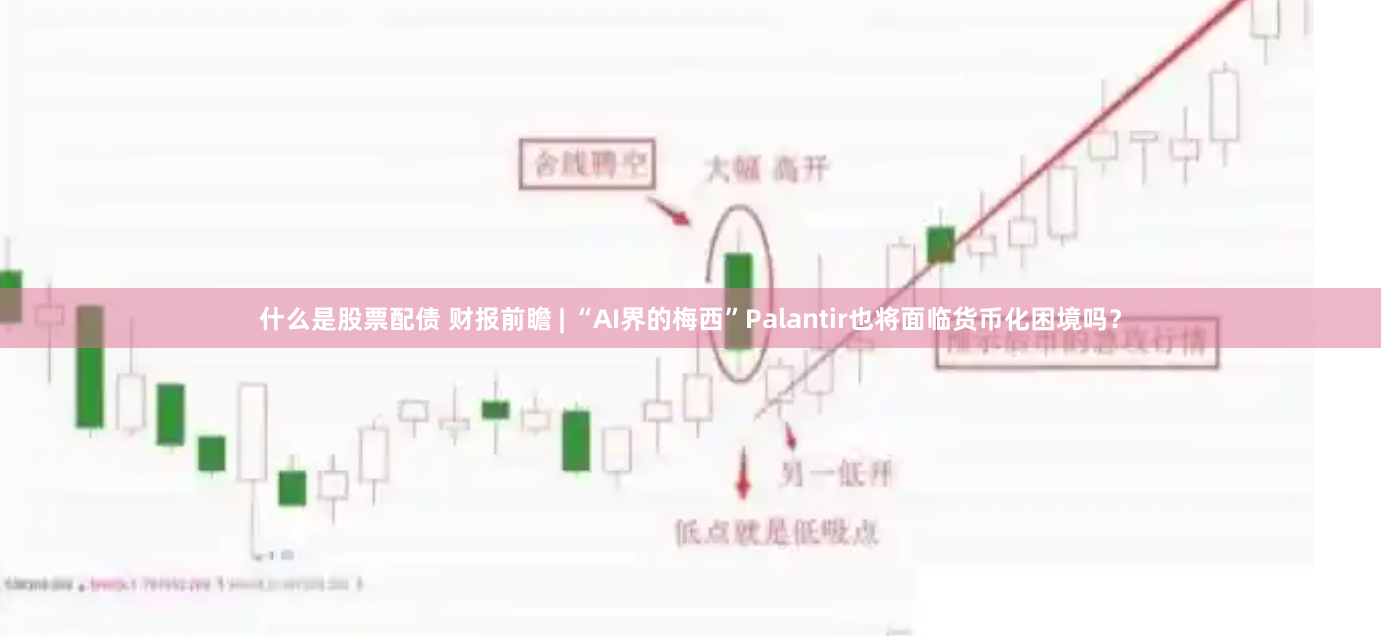 什么是股票配债 财报前瞻 | “AI界的梅西”Palantir也将面临货币化困境吗？