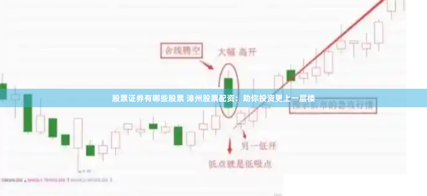 股票证券有哪些股票 漳州股票配资：助你投资更上一层楼