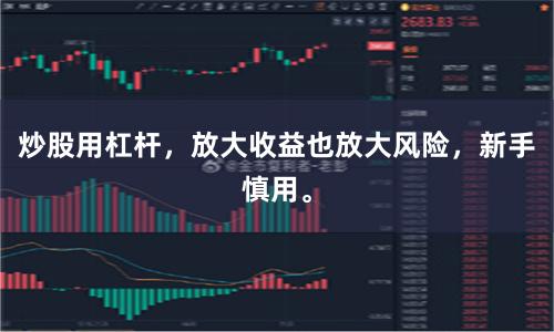 炒股用杠杆，放大收益也放大风险，新手慎用。